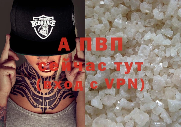шишки Покачи