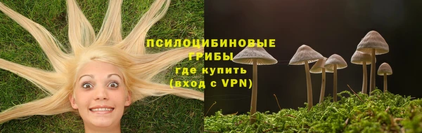 героин Алексин