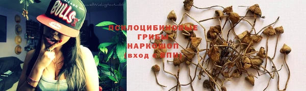 таблы Алзамай